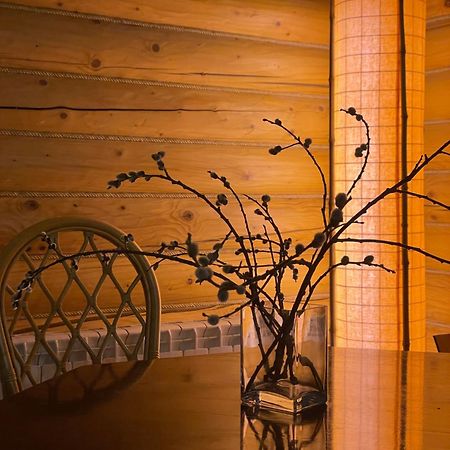 Bukovynskiy Zatyshok Chalet 布克维 外观 照片