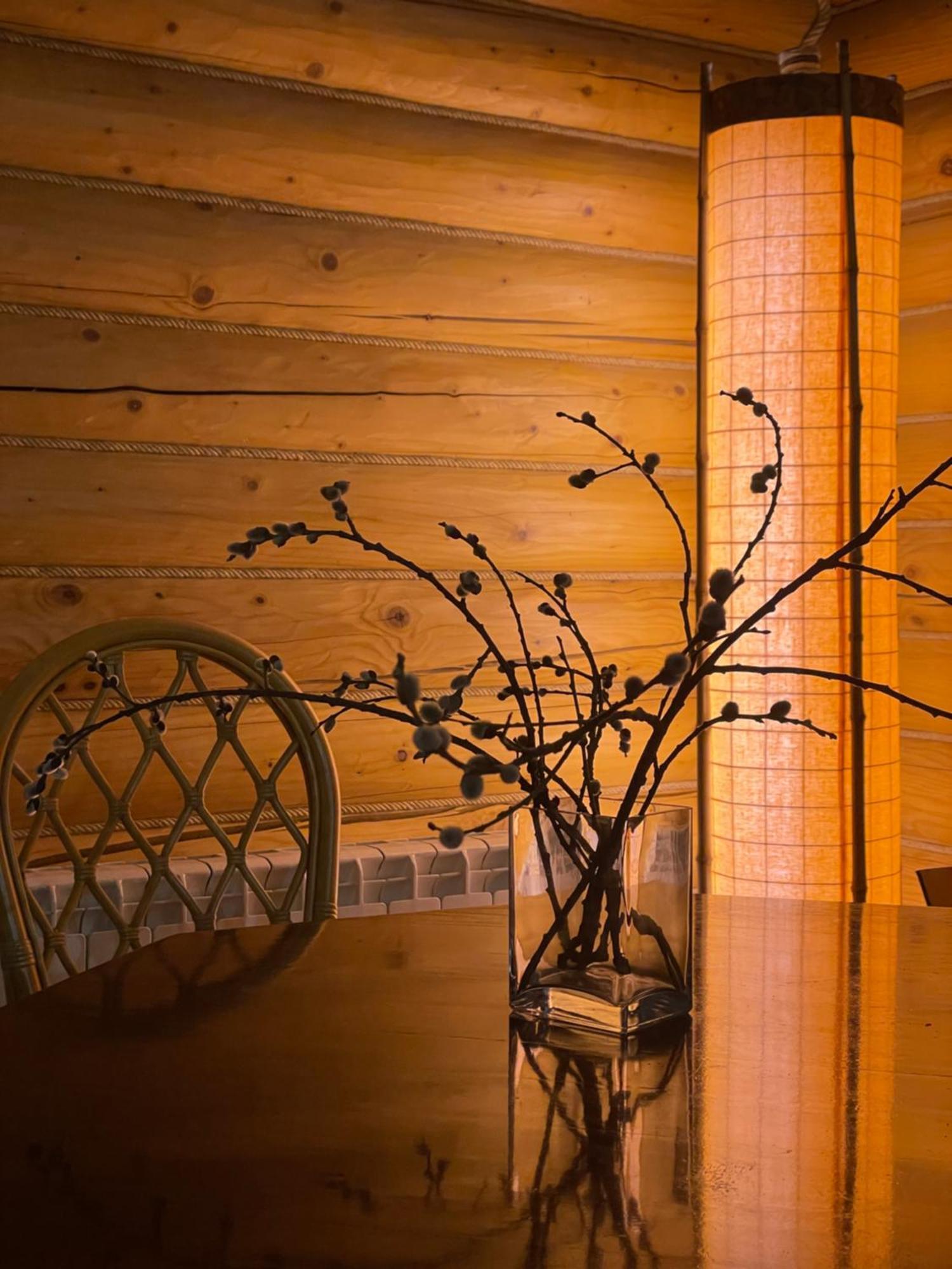 Bukovynskiy Zatyshok Chalet 布克维 外观 照片
