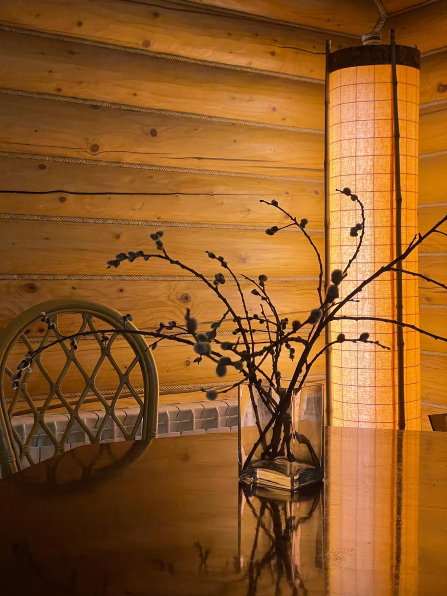 Bukovynskiy Zatyshok Chalet 布克维 外观 照片